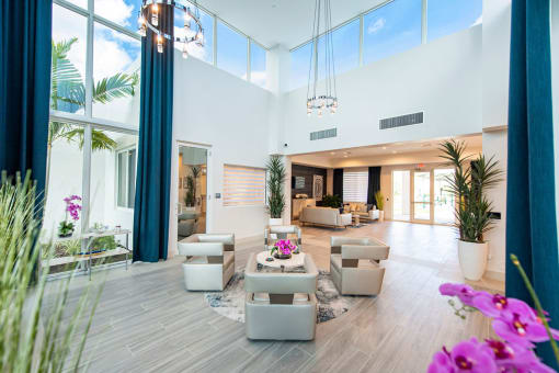 Solimar Interior