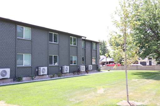 A tree stands in front of a building with air conditioning units outside.
