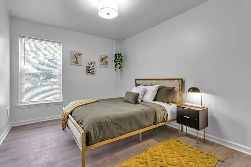 Pet-Friendly Apartments, Buffalo NY