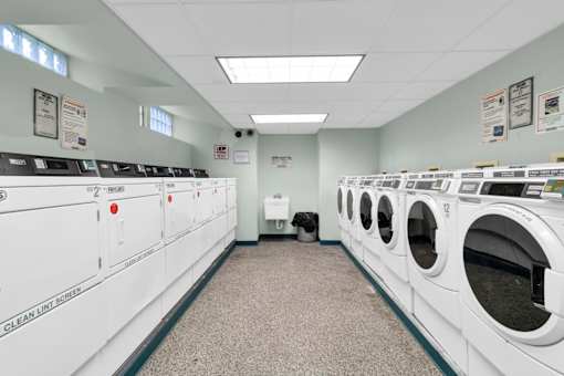 Pet-friendly apartments, Buffalo NY