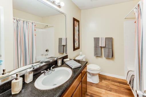 a bathroom with a sink and a toilet
