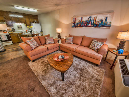 Executive Lodge Apartments Living room in Huntsville, AL