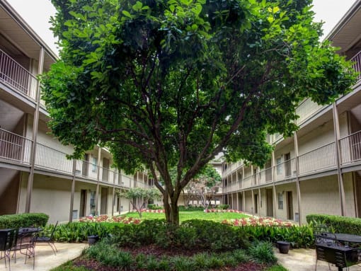 Canterbury Apartment Homes, Tuscaloosa, AL, Courtyard