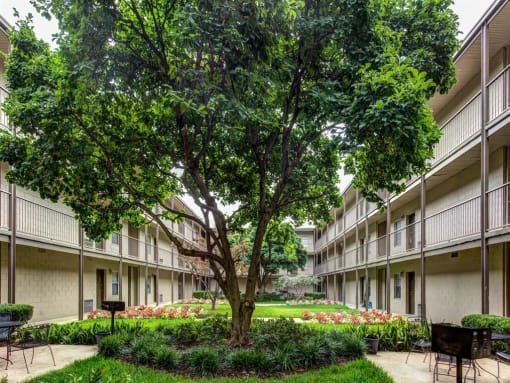 Canterbury Apartment Homes, Tuscaloosa, AL, Courtyard