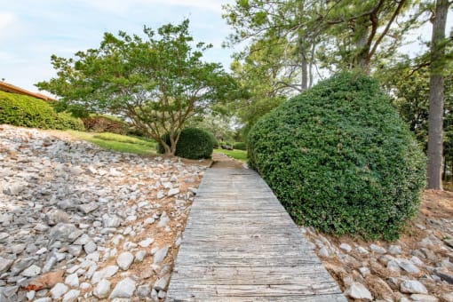 a wooden path with rocks on the side and trees on the other side of the path