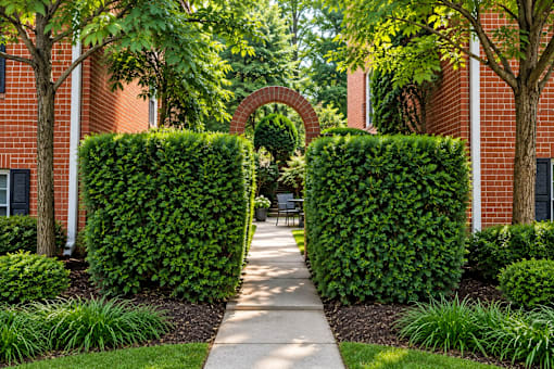 A pathway leads through a garden with green bushes and trees.