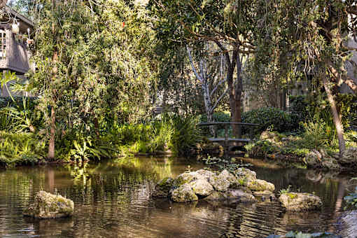 A pond with rocks in the middle surrounded by trees at The Aspens South Coast, California, 92504