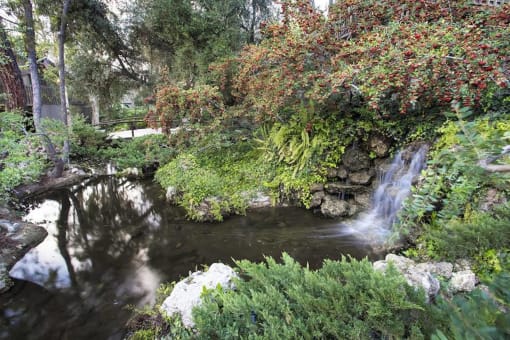 a stream in a garden with a waterfall