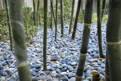 Rocks Path at The Aspens Riverside, Riverside, 92504