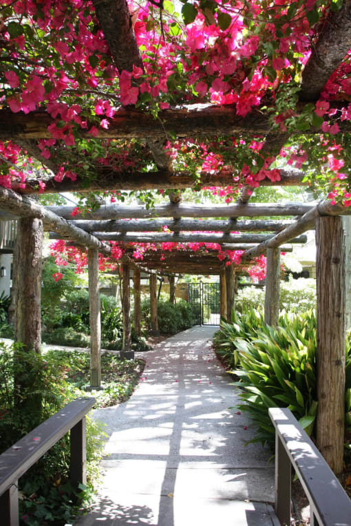 a covered walkway with pink flowers and benches