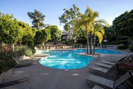 a large swimming pool with chairs and palm trees