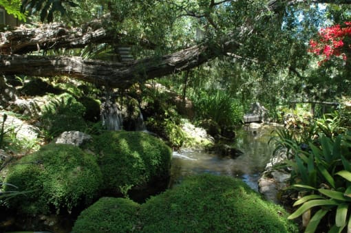 a moss covered tree over a stream in a garden