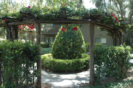 a christmas tree in a garden under a pergola