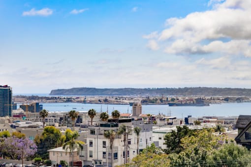 a view of the city and the bay
