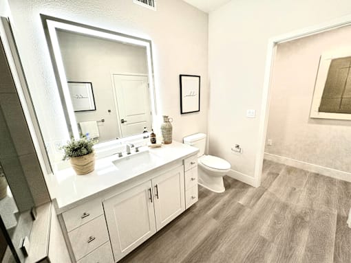 A bathroom with a white sink and a large mirror.