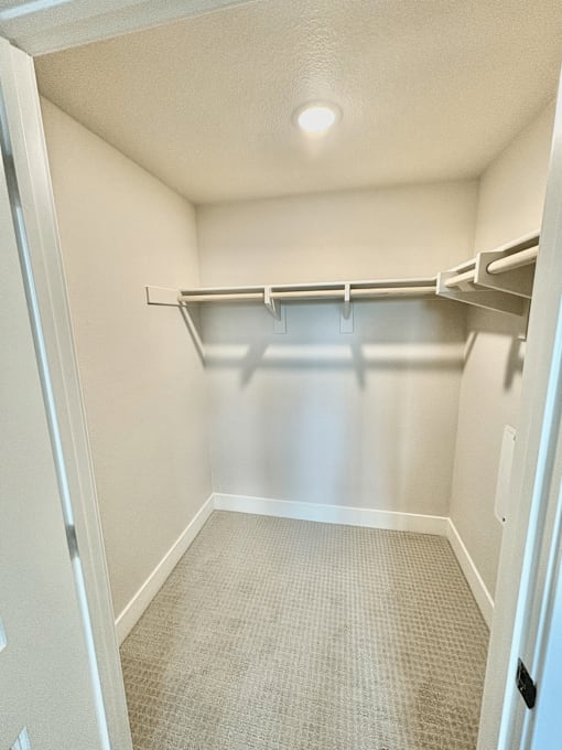A small, empty closet with a carpeted floor and white walls.