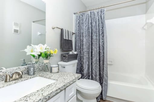 Bathroomat Royal Wildewood Manor Apartments, Clute, TX, 77531
