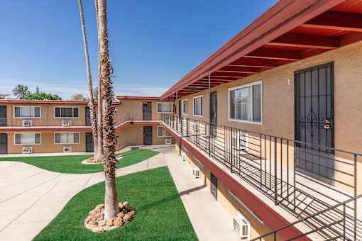 A palm tree stands in a courtyard between two apartment buildings.