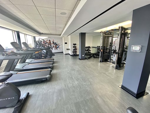 a state of the art gym with cardio machines and weights