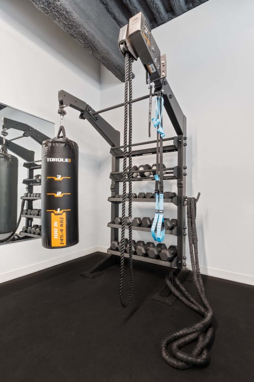 a home gym with weights and a punching bag on the wall