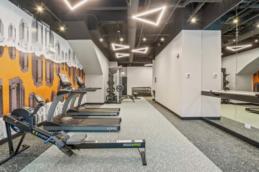 the gym is equipped with cardio equipment and weights