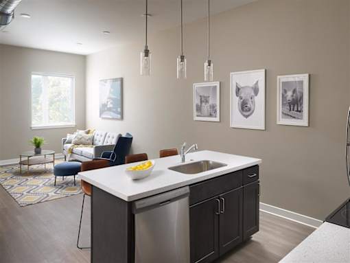 View from front entrance into great room with living/dining area and kitchen with breakfast bar, large sink, and stainless steel dishwasher