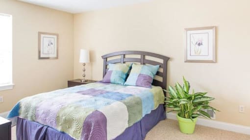 Spacious bedroom with large window Spacious bedroom with large window