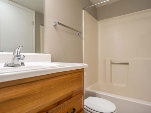 Typical full bathroom with shower/tub combo and vanity