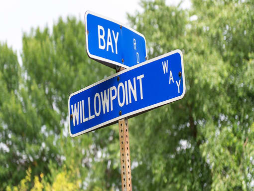 two blue street signs on top of a metal pole