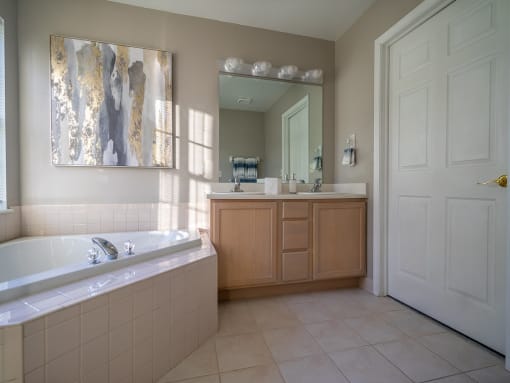 a bathroom with a tub and a sink and a mirror