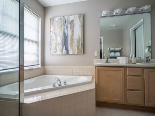 a bathroom with a tub and a sink and a mirror