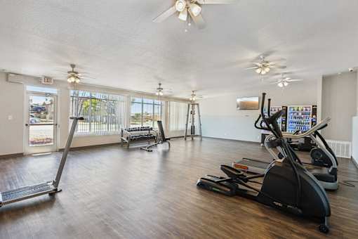 A gym with treadmills, elliptical machines, and a fan.