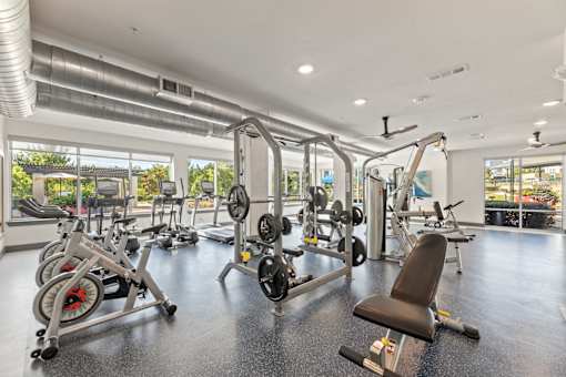 A gym with a variety of equipment including weights and machines.