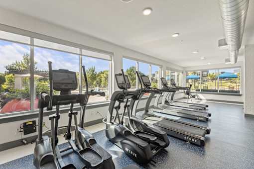 A row of treadmills in a gym with a view of the outdoors.