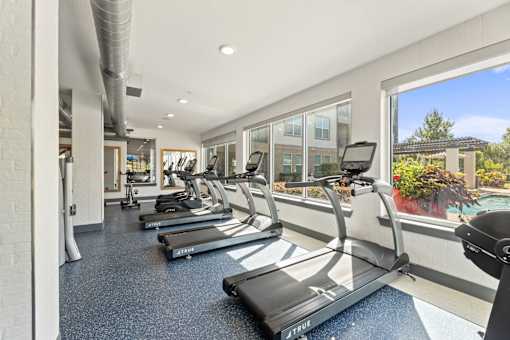 A gym with treadmills and a view of the outside.