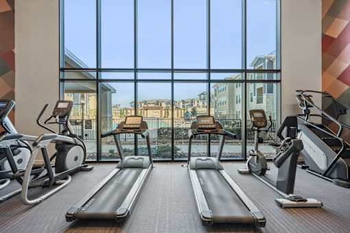 Gym with treadmills at Edge and Stone, Texas