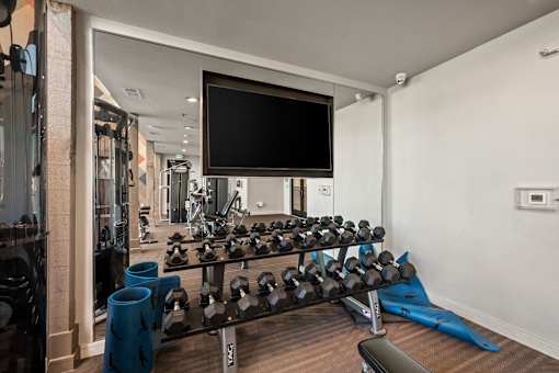 Weights in gym at Edge and Stone, San Antonio, 78260