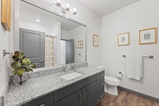 A bathroom with a marble countertop and a white toilet.