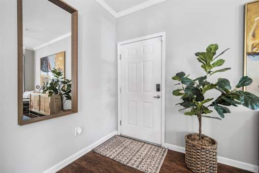 A white door is in a hallway with a mirror and a plant.