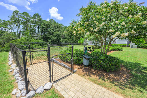 A black fence with a gate is in front of a tree and a trash can.