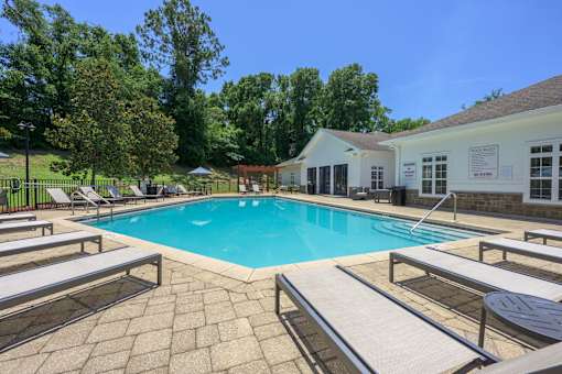 A pool surrounded by sun loungers and trees.
