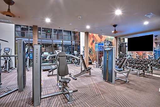 A gym with a variety of equipment including a squat rack and a bench press.