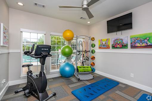 Home Gym at Mill Creek Run Apartments, Macon, Georgia