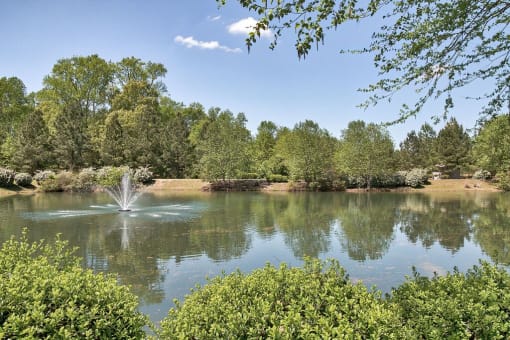 a fountain in the middle of a lake at Mill Creek Run, Macon, GA 31216