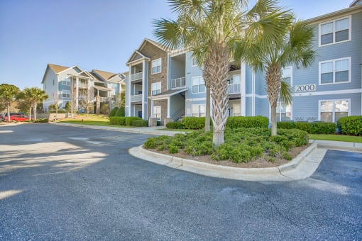 a row of houses with palm trees in front of them at Spring Creek Apartments, Florida