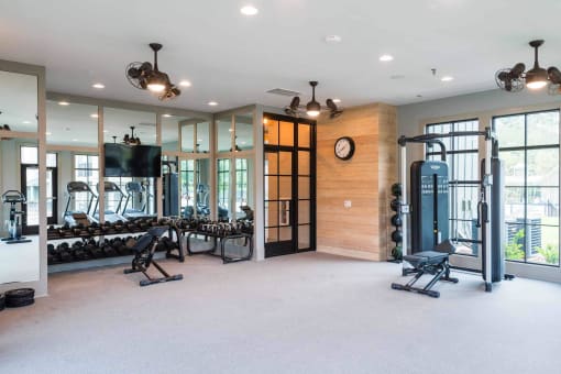 a gym with weights and a tv on the wall and windows  at Bellary Flats Apartments, South Carolina