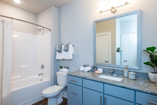 blue and white bathroom with a shower toilet  at Bellary Flats Apartments, Summerville , South Carolina
