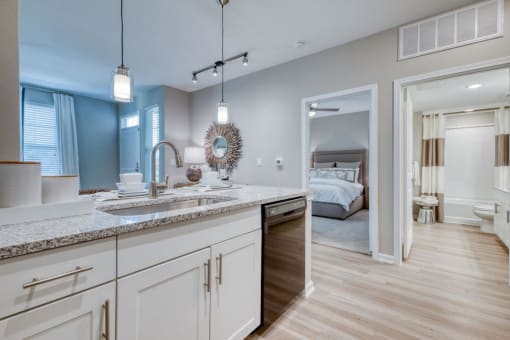 Sink and cabinets at Citadel at Westpointe, San Antonio, TX, 78251