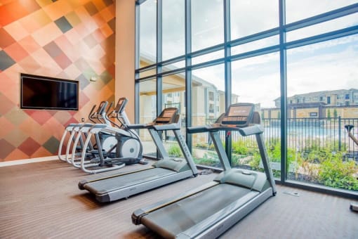 Cardio Machines at Edge and Stone, San Antonio