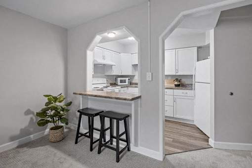 A kitchen with white cabinets and a countertop with a plant on it.